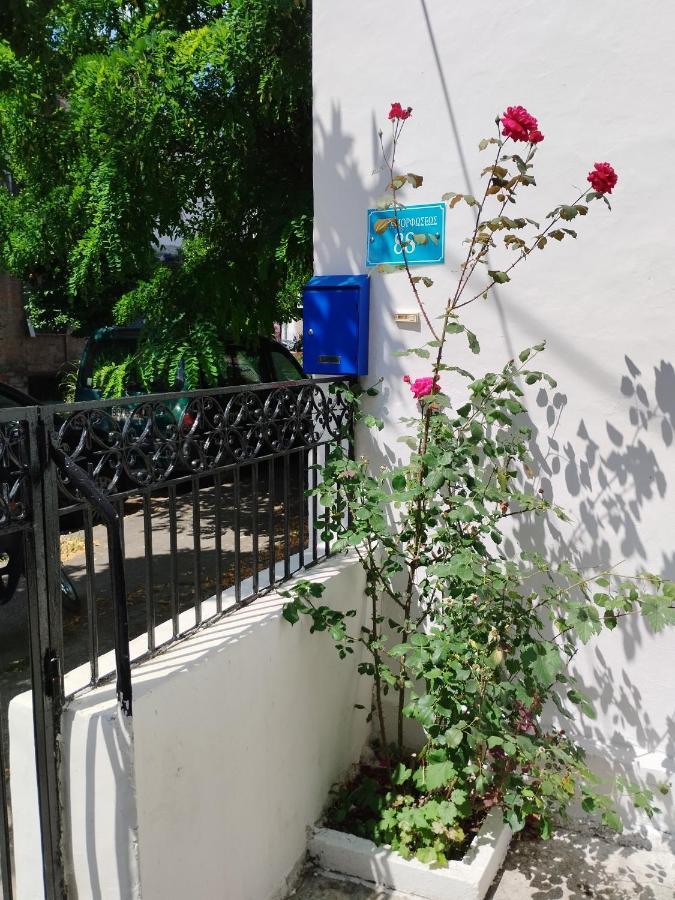 Apartamento Η Ελπίδα Και Η Γιάννα Ξεκίνησαν Ένα Χώρο Cute Volos Exterior foto