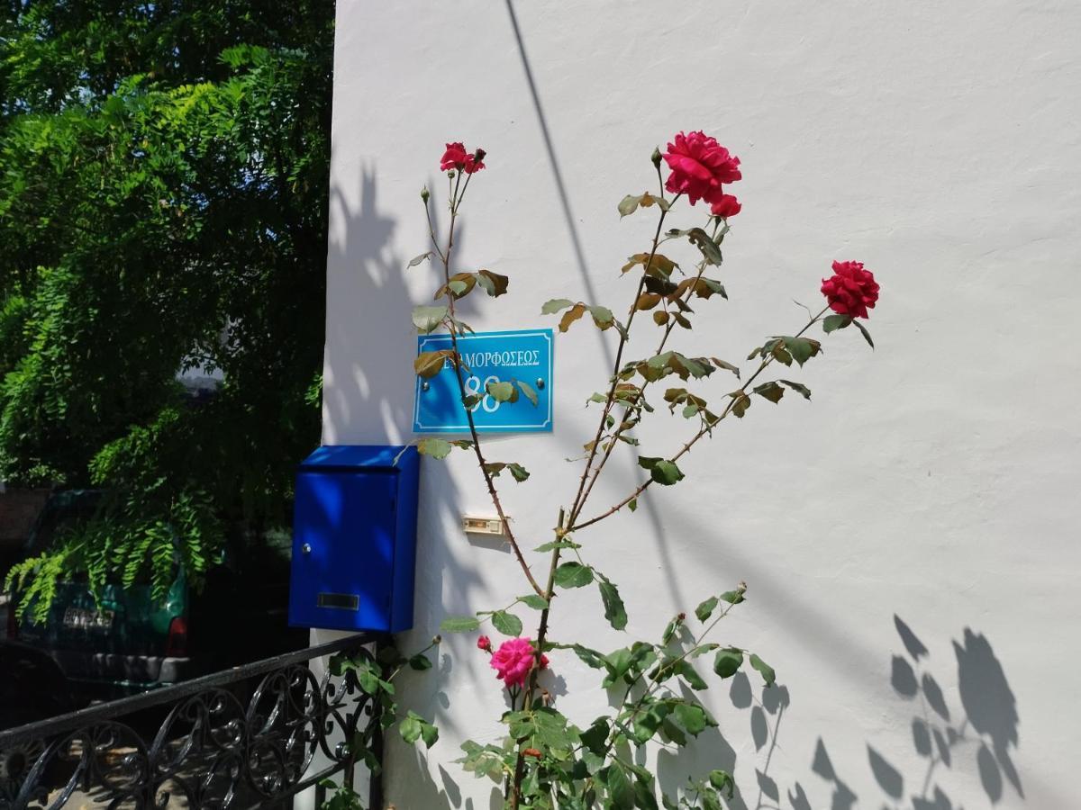 Apartamento Η Ελπίδα Και Η Γιάννα Ξεκίνησαν Ένα Χώρο Cute Volos Exterior foto