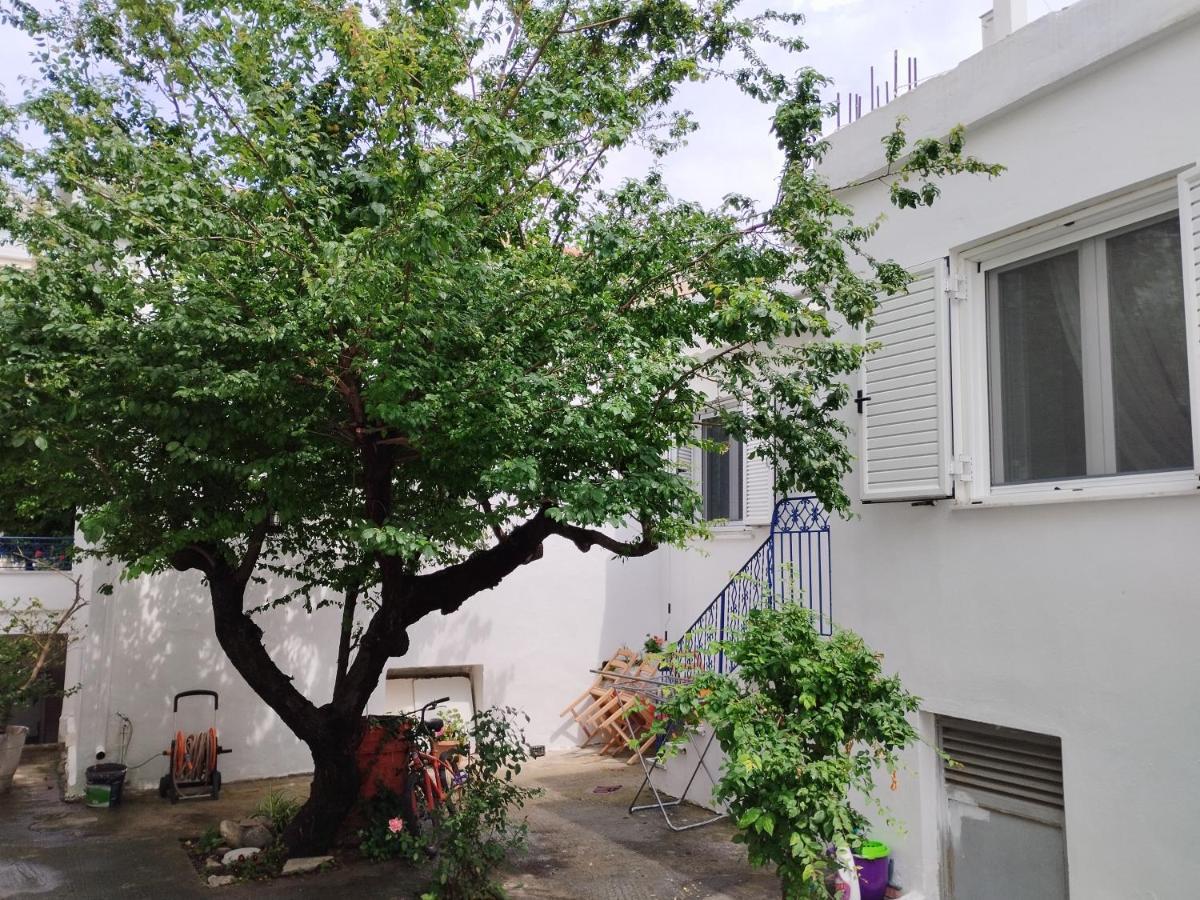 Apartamento Η Ελπίδα Και Η Γιάννα Ξεκίνησαν Ένα Χώρο Cute Volos Exterior foto