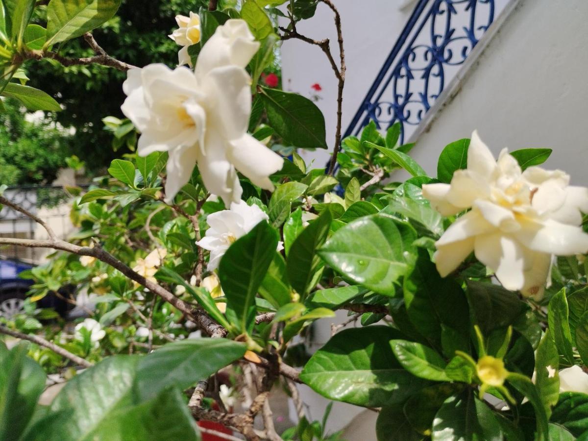 Apartamento Η Ελπίδα Και Η Γιάννα Ξεκίνησαν Ένα Χώρο Cute Volos Exterior foto